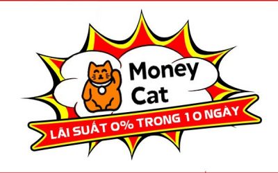 vay tiền online moneycat